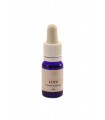 LOTO ESENCIA 10 ML