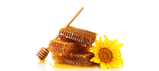 La miel es uno de los productos apícolas más populares, como endulzantes y por sus propiedades nutritivas y terapéuticas.